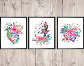 Op de afbeelding: Drie aquarelprints met anatomische illustraties van het menselijk hart, de hersenen en het bekken, elk omringd door kleurrijke bloemen.