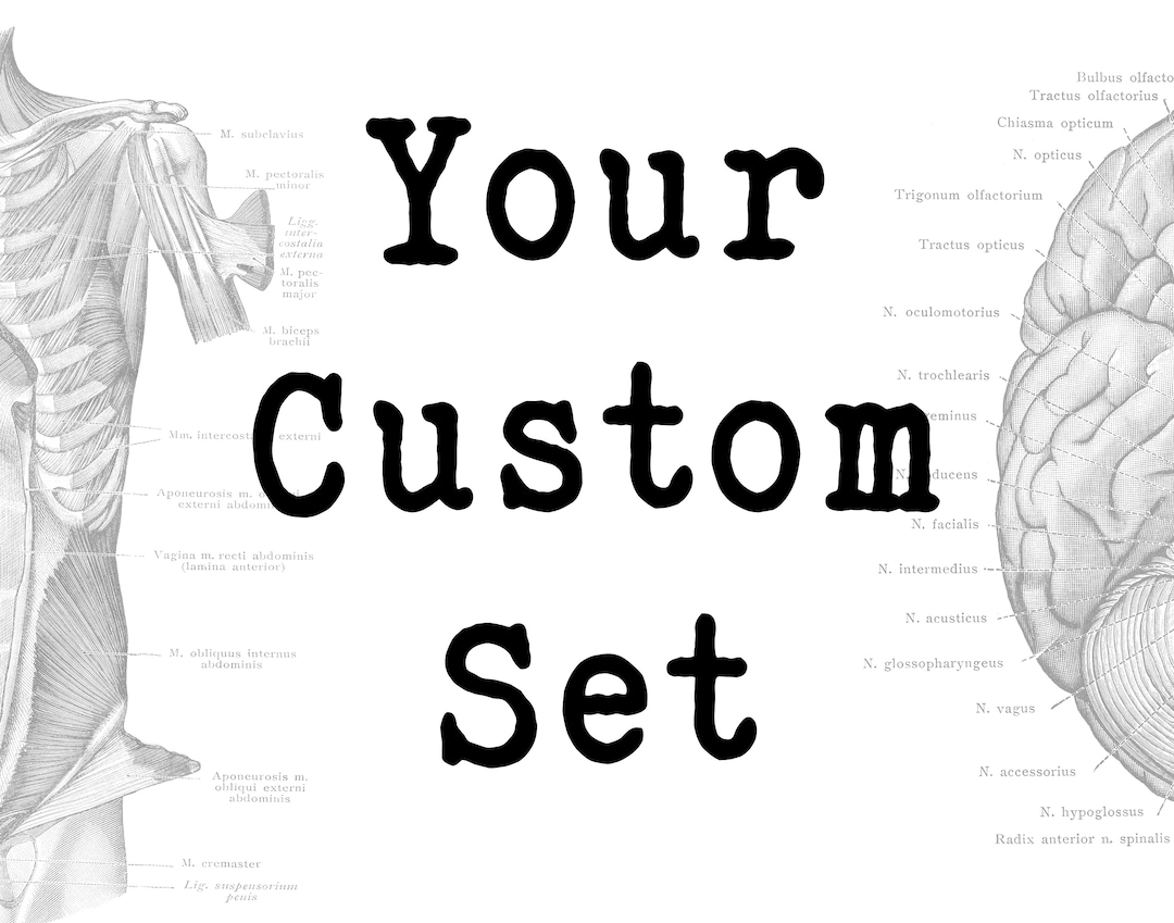 Your Custom Set - Etsy
