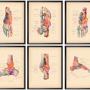 Vintage Foot Bones Anatomy Poster Set of 6 Podiatry Art Medical Artwork Orthopedic Surgeon Gift Podiatrist Gift Osteology Art Physiology Art