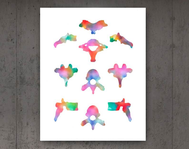 Spine Watercolor Print Set Vertebral Bones Anatomy Art Medical | Etsy