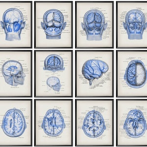 May include: A set of 12 vintage anatomical illustrations of the human brain in blue tones. Each illustration shows a different view of the brain, including the frontal, sagittal, and axial views. The illustrations are labelled with anatomical terms.