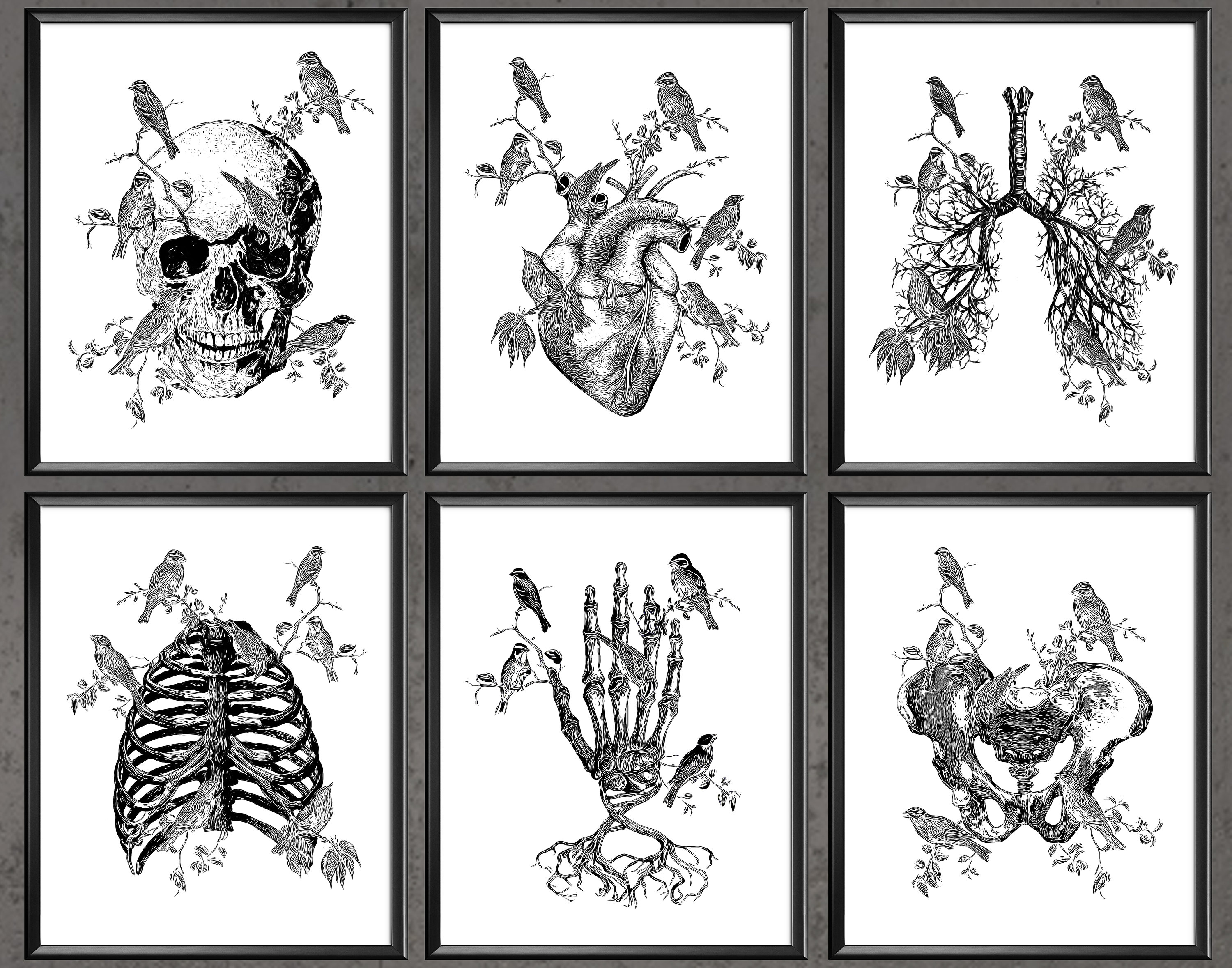 Anatomy Art Doctor Office Decor Medical Art Human Skull Etsy