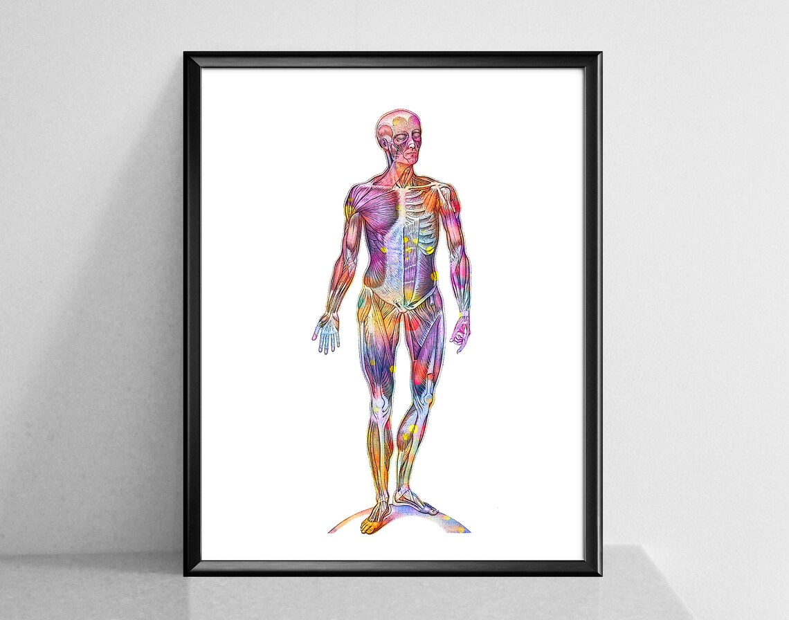 Human Anatomy Watercolor Print Set of 6 Skeletal Bones | Etsy