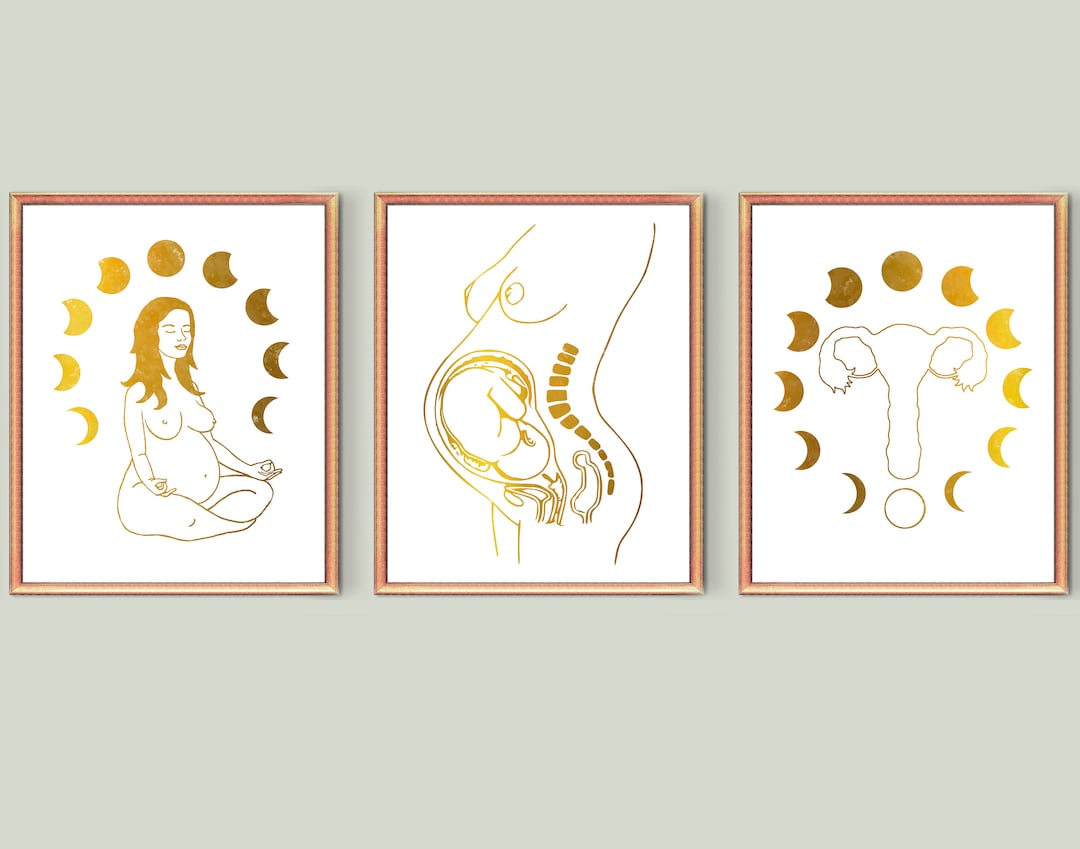3 Gold Gynecology and Obstetrics Art Female Anatomy Art Pregnant Woman ...