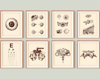 眼球解剖図 リトグラフ 1901年頃 • オリジナルアンティークプリント