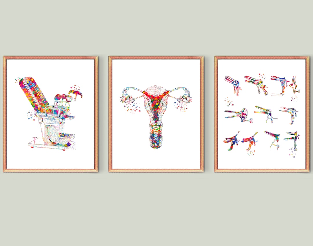 3 Gynecological Art Examination Chair Speculum Anatomical Uterus Art ...
