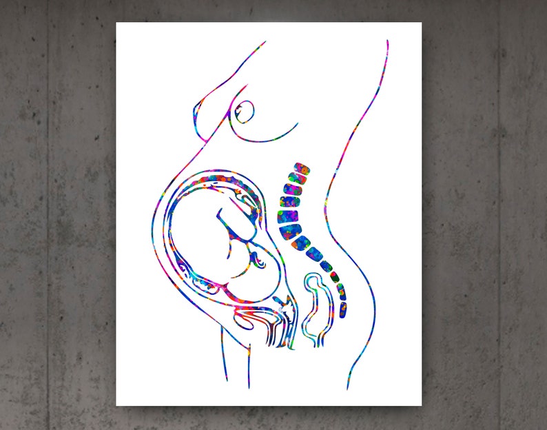 Pregnant Woman Meditation Print Pregnancy Anatomy Moon Phases Baby in Womb Uterus Silhouette Poster Yoga Teacher Gift Clinic Decor