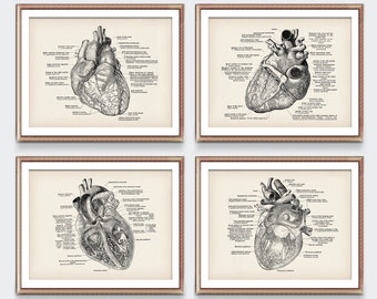 4 Anatomical Heart Vintage Posters Medical Art Antique Anatomy Art Cardiologist Gift Doctor Decor Clinic Wall Art Heart Surgeon Gift