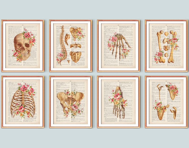 Set 8 Skeleton Anatomy Art Vintage Dictionary Page Medical Decor ...