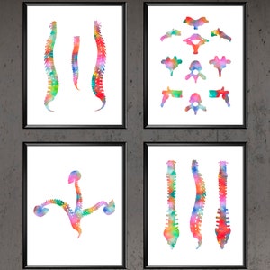 Spine Watercolor Print Set Vertebral Bones Anatomy Art Medical Poster Chiropractic Clinic Wall Decor Orthopaedic Surgeon Gift