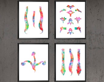 Spine Watercolor Print Set Vertebral Bones Anatomy Art Medical Poster Chiropractic Clinic Wall Decor Orthopaedic Surgeon Gift