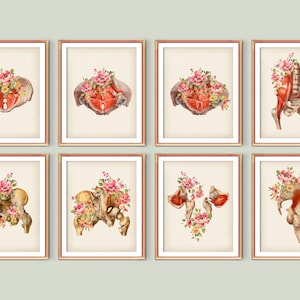 8 Vintage Anatomy Art, Pelvic Floor Muscles, Medical Decor, Physiotherapy Poster, Female Pelvic Anatomy, Chiropractic Clinic Decor, Digital