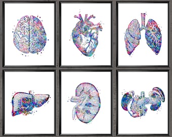 12 Medical Decor Watercolor Anatomy Art Doctor Office Gift Human Organ ...