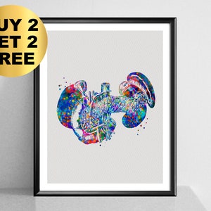 Pancreas and Spleen Anatomy Art Watercolor Digestive System Medical Art Gastroenterologist Gift Hospital Decor Human Digestive System Organs