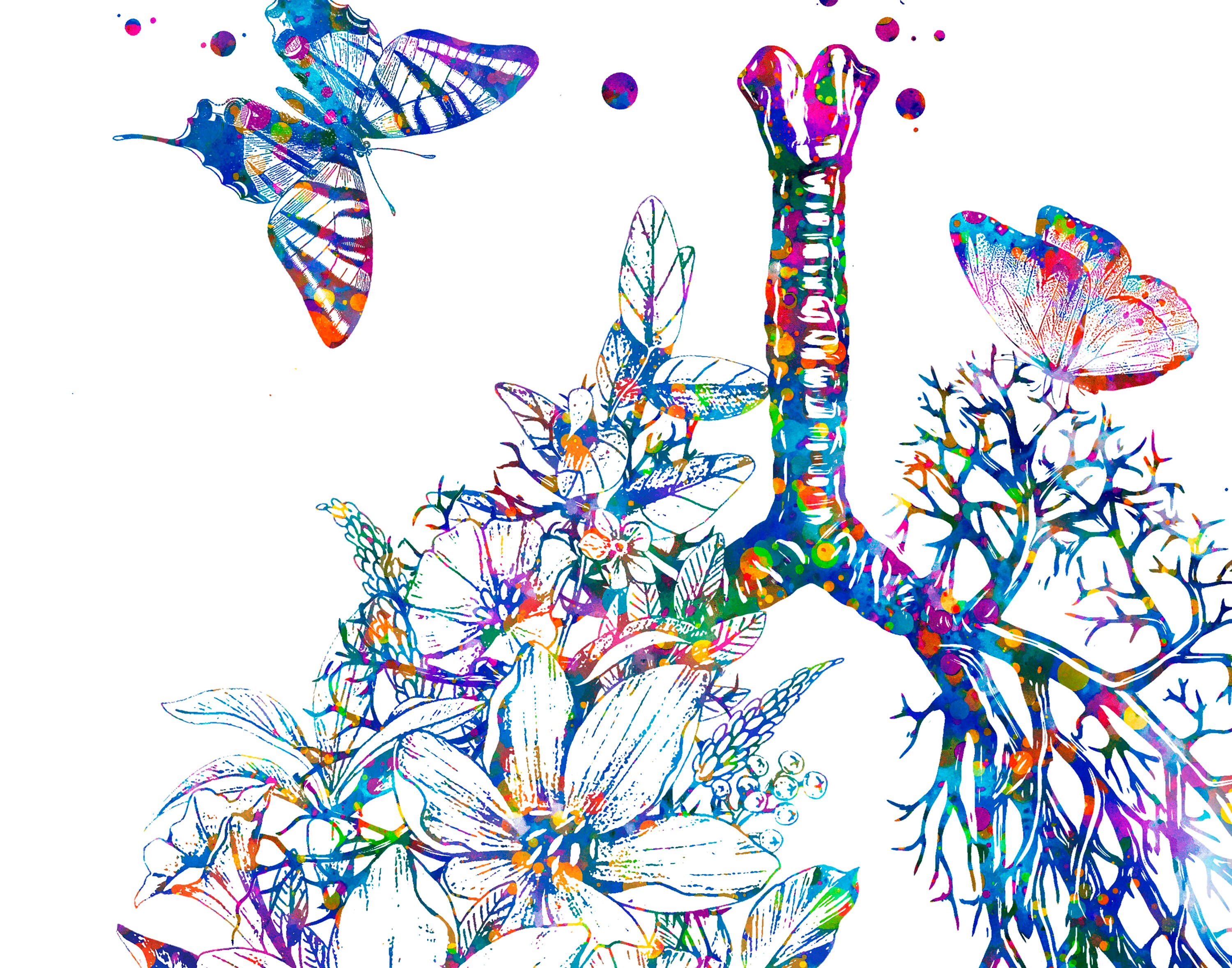 Floral Anatomy Prints Brain and Flowers Anatomical Heart Etsy Australia