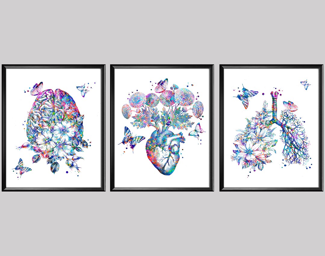 3 Floral Anatomy Art Brain and Flowers Anatomical Heart Etsy