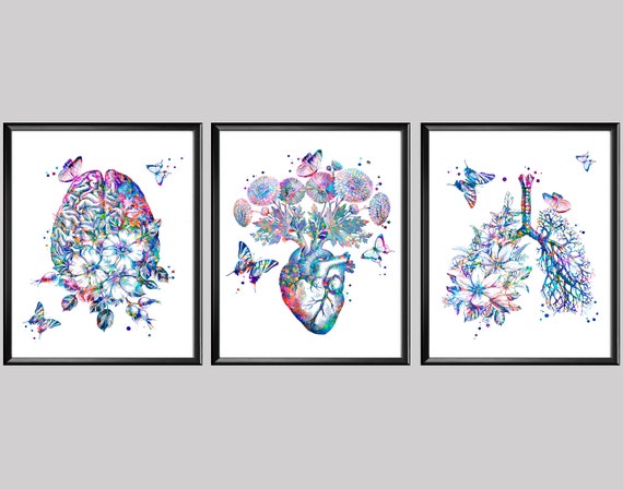 Giclée Archival Art Print Vintage Anatomy Floral Heart Brain Print Set ...