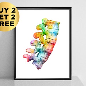 Lumbar Spine Watercolor Art, Vertebral Column Art, Watercolor Anatomy Art, Medical Art, Skeletal Bones Painting, Doctor Office Decor
