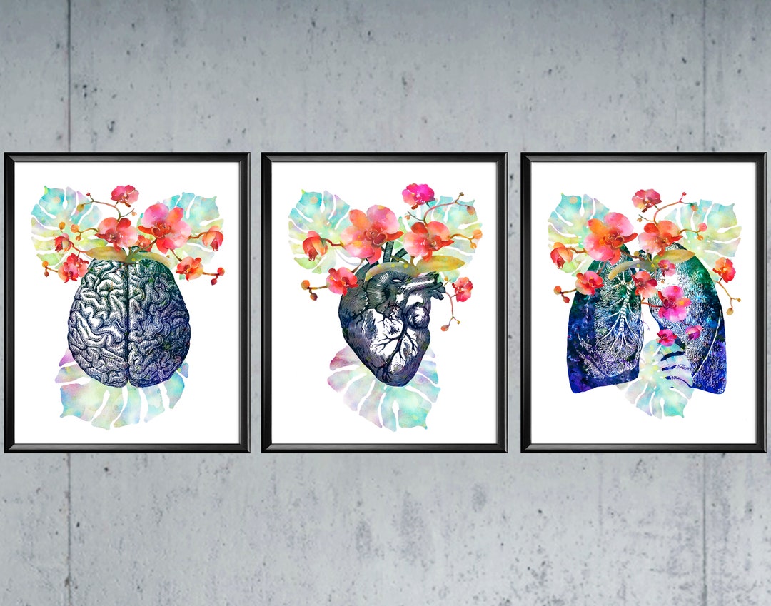 3floral Anatomy Art Medical Art Doctor Gift Human Heart Anatomical ...