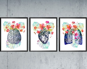 3Anatomía Floral Arte Médico Arte Doctor Regalo Corazón Humano Pulmones Anatómicos Cerebro y Flores Ilustraciones Acuarela Dibujo Clínica Decoración de la pared