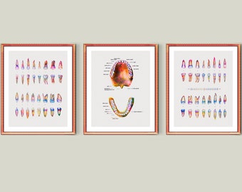 Tooth Art Dentist Gift Watercolor Teeth Artwork Dentistry Poster Dental Clinic Decor Orthodontist Gift Hygienist Office Art Doctor Assistant