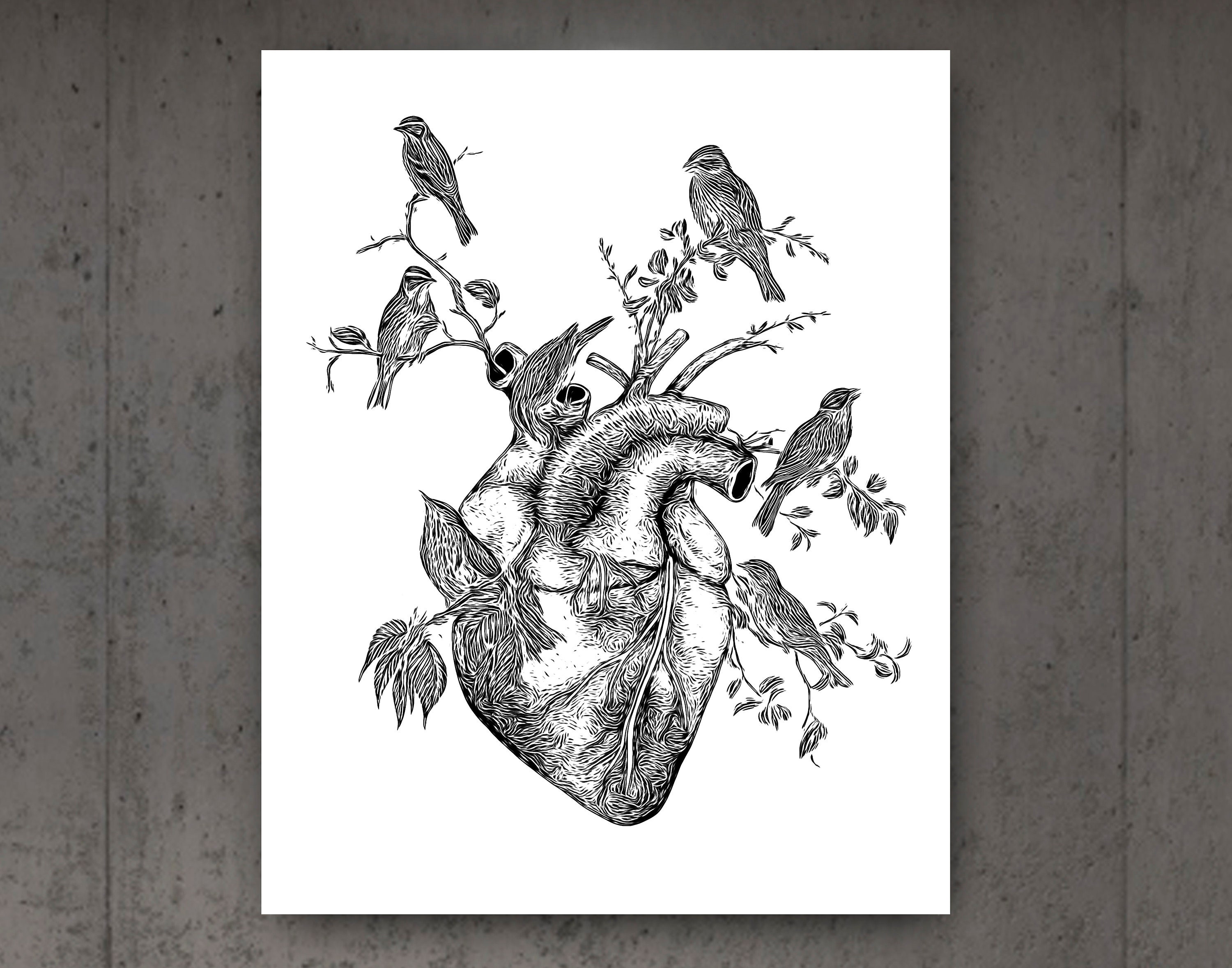 6 Anatomy Art Doctor Office Decor Medical Art Human Skull Anatomical ...