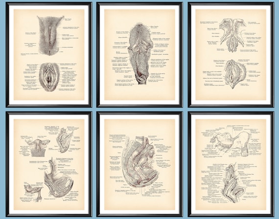 Rus ona porno Issiq jojalarning jinsiy aloqa videolari