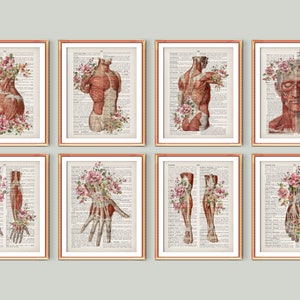8 Vintage Muscular Anatomy Art Dictionary Page Art Medical Decor Human Body Muscles Poster Muscular System Structure Clinic Wall Art