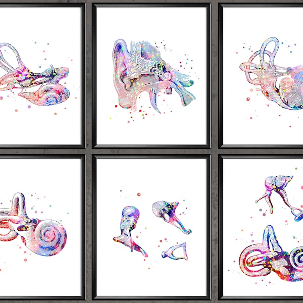 Inner Ear Anatomy Print Set of 6 Cochea Poster Audiologist Gift Hearing Doctor Gift Clinic Wall Decor Medical Art