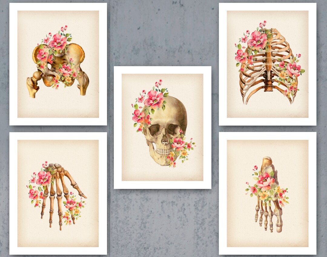 5 Human Skeleton and Parts Anatomy Art Vintage Medical Illustration ...