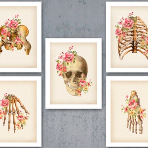 5 Human Skeleton And Parts Anatomy Art Vintage Medical Illustration Chiropractor Gift Anatomical Skull Pelvis Rib Cage Art Orthopedic Decor