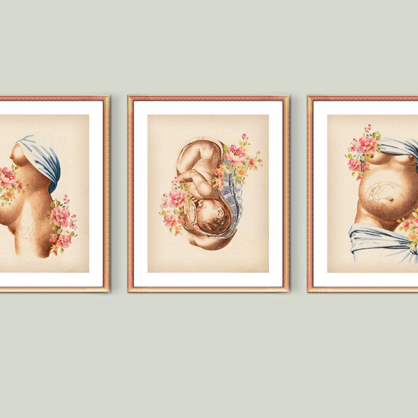 3 Pregnancy Vintage Art, Pregnant Poster, Woman with baby, Female Physiology, Fetus in womb, Midwife, Fetal development, Childbirth decor