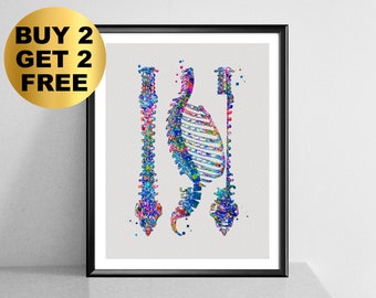 Spine Anatomy Print Vertebral Column Thorax Rib Cage Orthopedic Doctor Gift Medical Art Chiropractor Gift Clinic Wall Decor