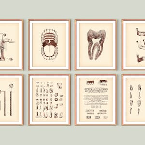 8 Dental Art, Anatomical Tooth Vintage Poster, Dentist Tools, Medical Art, Dental Clinic Decor, Orthodontist Gift, Doctor Office Art