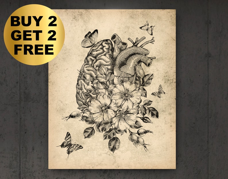 Anatomical Brain and Heart Art Vintage Anatomy and Flowers Poster ...