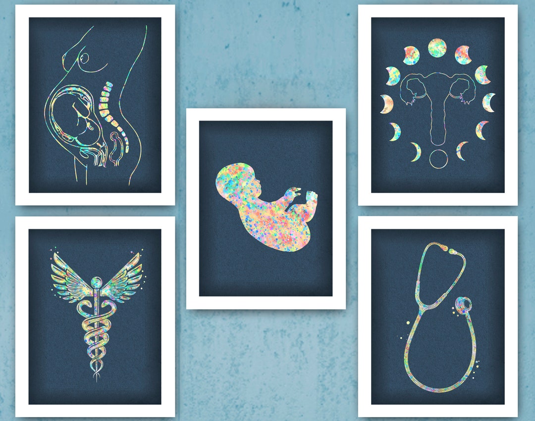 5 Obgyn Art Midwife Artwork Pregnancy Art Pregnant With Fetus Art ...