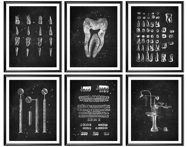 6 Dental Anatomy Posters Dentist Office Gift Dentistry Art Etsy