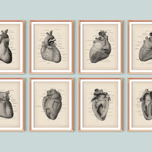 8 Vintage heart anatomy art, Cardiology artwork, Medical painting, Cardiovascular system, Physiology artwork, Medicine poster, Doctor gift