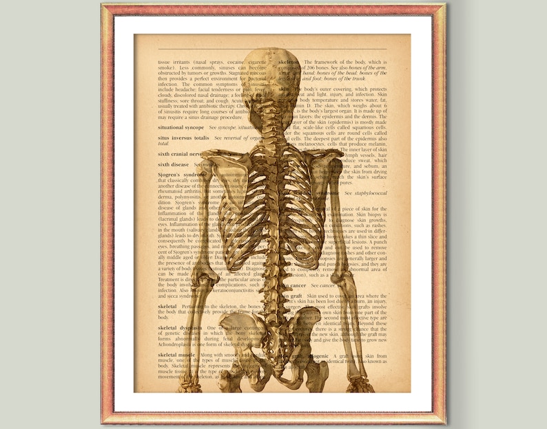 Chiropractor Gift, Human Skeleton Poster, Vintage Anatomy Art, Medical ...