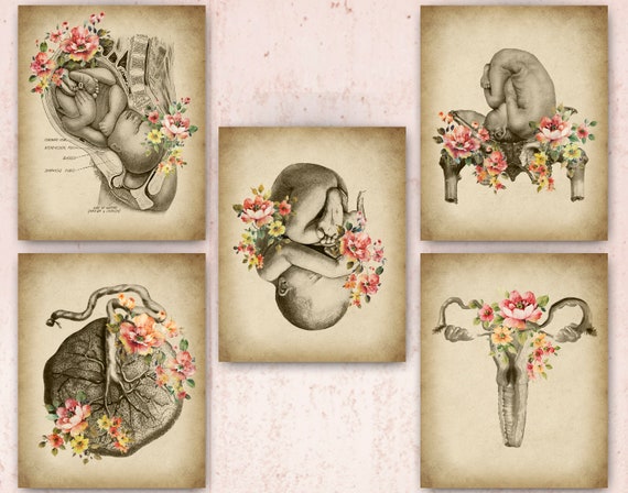 5 ヴィンテージ OBGYN アート 胎児発達アート 妊娠アート 助産師アート