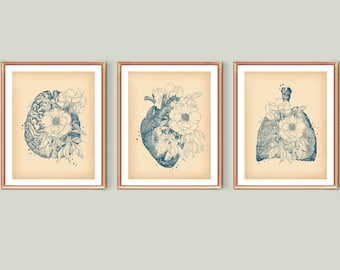Set 3 Vintage Anatomy Art Medical Decor Doctor Gift Anatomical Heart ...