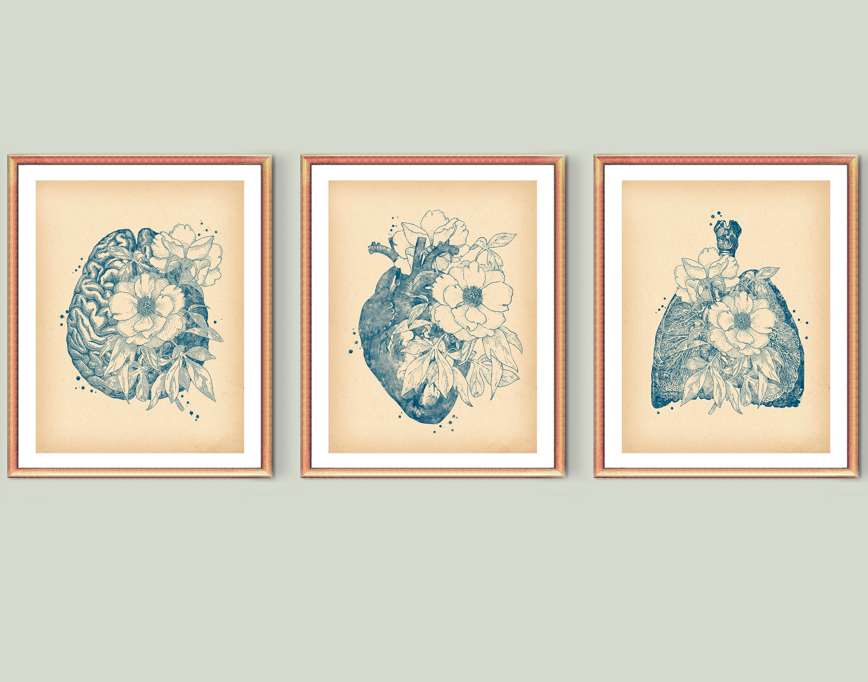 3 Vintage Anatomy Art Medical Art Organ and Roses Art Anatomical Heart ...