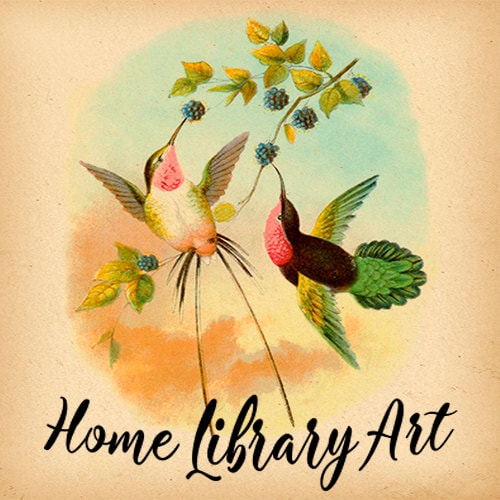 Técnica de masaje uterino Pósteres médicos Masaje posparto Masaje