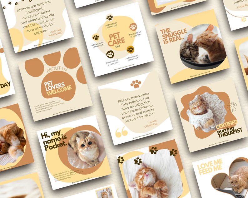 May include: A collection of nine Instagram-style social media posts featuring cats. The posts include quotes about pets, images of cats, and text about pet care. The posts are in a light yellow and brown color scheme.