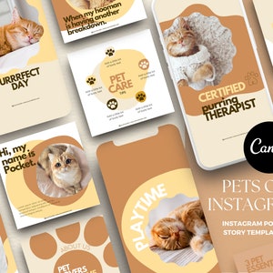 Pet Instagram Templates Canva, Pet Canva Templates, Pet Blogger Templates, Animal Instagram Templates, Pet Branding, Cat Instagram, Cat IG