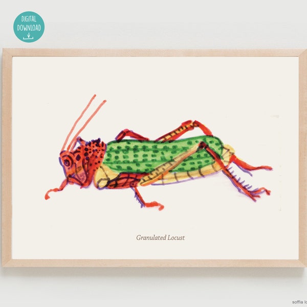 Locust Print insect illustration Wall Art  | Poster Natural History | kids  Art  Decor Wall Hanging