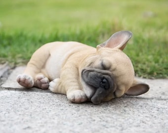 10 piècesensemble chiot chien Pals poupée Canina Anime 10 piècesensemble chiot chien Pals poupée Canina Anime