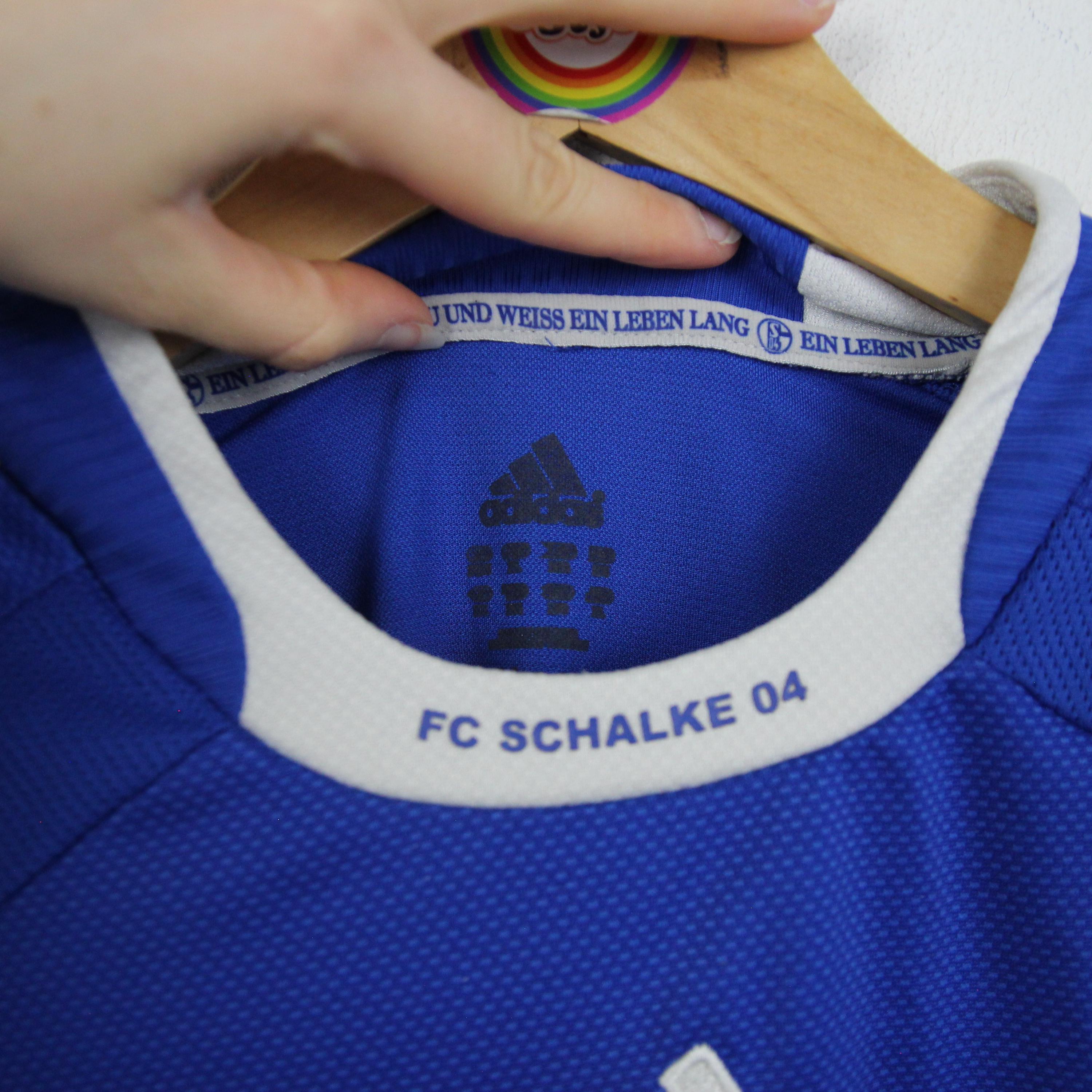 FC Schalke 04. Palmarès, maillot, Veltins Arena, historique