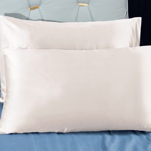 Clearance 2PACK 22mm Silk 100% Mulberry Silk Pillowcase Envelope Closure for Hair and Skin, Standard, Queen and King sizes