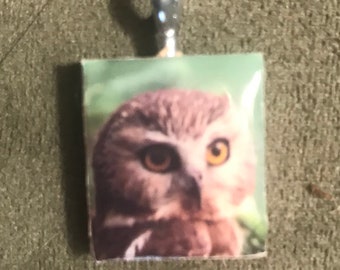 Beautiful Owl Necklace 2